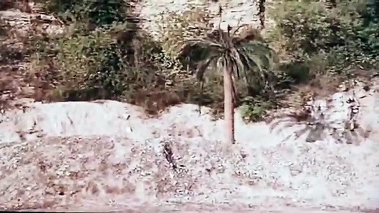 Knife Fight- Americans vs. ISIS