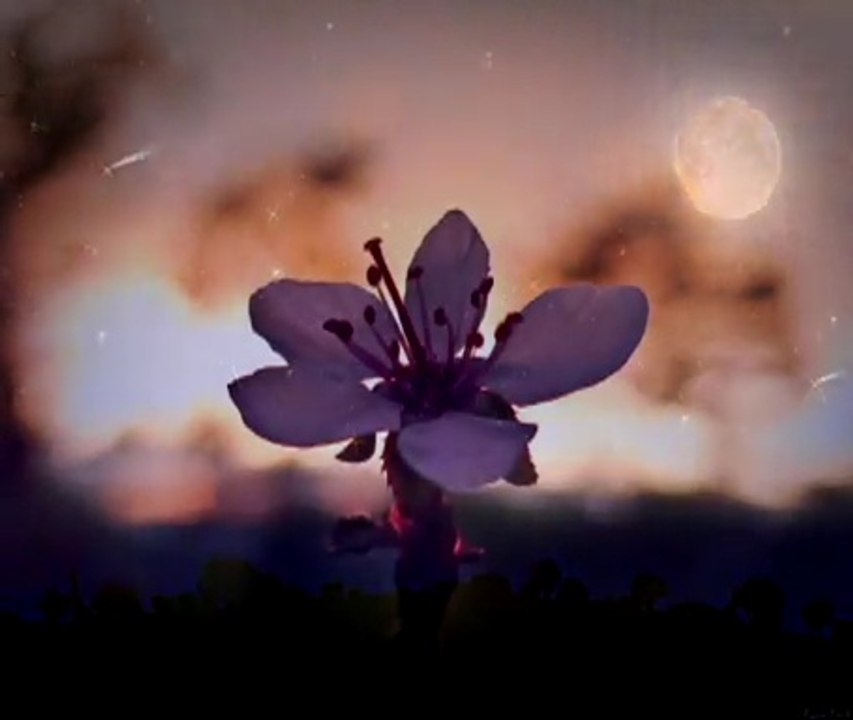 Go the fuck to sleep