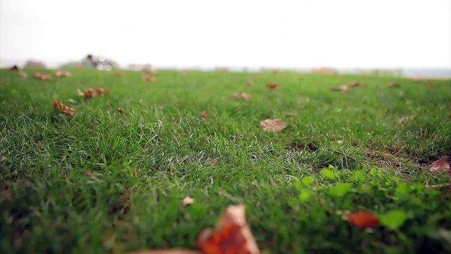 Clip Fous-toi la paix ! / Yor Pfeiffer