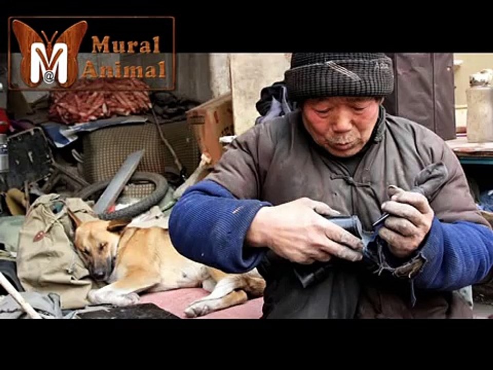 Cet homme a perdu l’usage de ses jambes. Pour l’aider, son chien fait quelque chose d'extraordinaire !