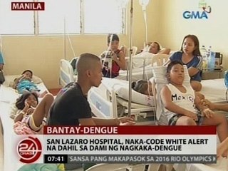 24Oras: DOH: Mas mataas ang dengue cases ngayon kumpara sa parehong panahon noong 2014