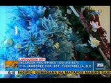 Tips on how to make your Christmas tree more joyful than it already is | Unang Hirit