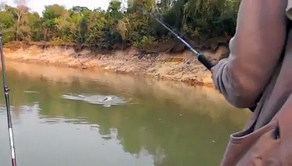 OMG!!! Real Electric Fish Caught during Fishing
