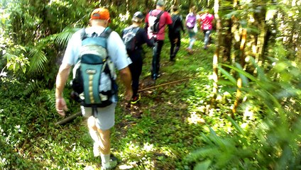 2,7k, 4k, ultra hd, Trilhas das cachoeiras, Trekking, Serra do Mar, (4)