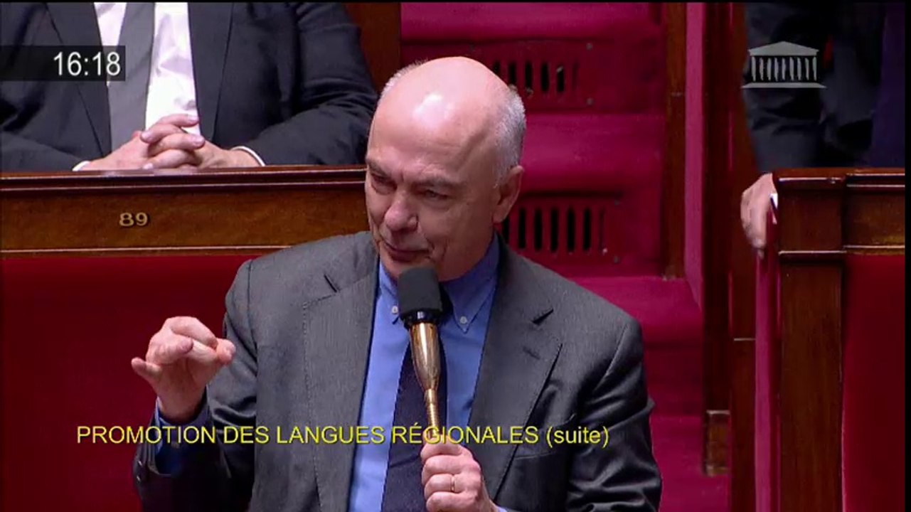Le Fur PPL langues régionales désaccord gouvernement