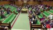Parliamentarians use lewd language during speech in British Parliament