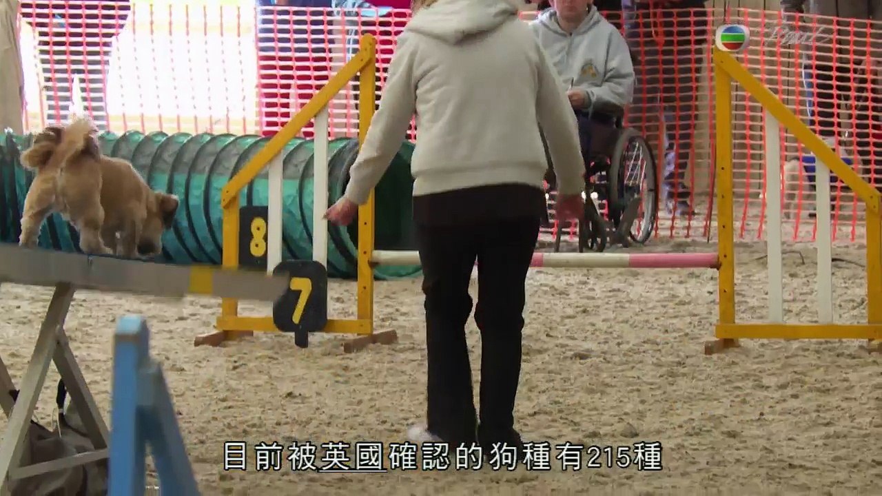 貨真價實.EP02