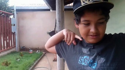 Burros e Nerds: Uma Boa Mistura 🐴💻