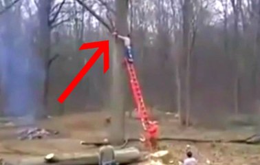 Some Trees Don't Like To Be Cut