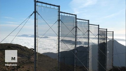Giant nets harvest fog to solve water crisis in Morocco