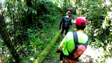 2,7k, 4k, ultra hd, Trilhas das cachoeiras, Trekking, Serra do Mar, (9)