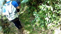 2,7k, 4k, ultra hd, Trilhas das cachoeiras, Trekking, Serra do Mar, (12)