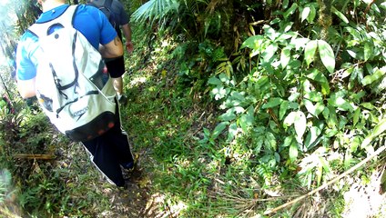 2,7k, 4k, ultra hd, Trilhas das cachoeiras, Trekking, Serra do Mar, (12)