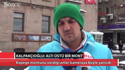 Montunu köpeğin üzerine örten işçi ödüllendirildi