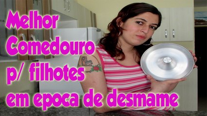 Melhor comedouro para filhotes em época de desmame