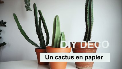 Cactus en papier : le DIY pour ceux qui n'ont pas la main verte