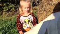 Princess Ella and play doh girl from fun factory have a amazing day at the pumpkin patch vlog 11
