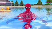 Spiderman Pink Spidergirl Frozen Elsa Swimming Pool Joker Prank | Hulk Finger Family Kids Songs