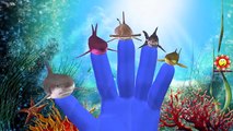 Finger Family Rhymes For Children Sharks Cartoon And Twinkle Twinkle Little Star Nursery Rhymes
