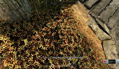Skyrim Duplicate Itens(duplicando itens)