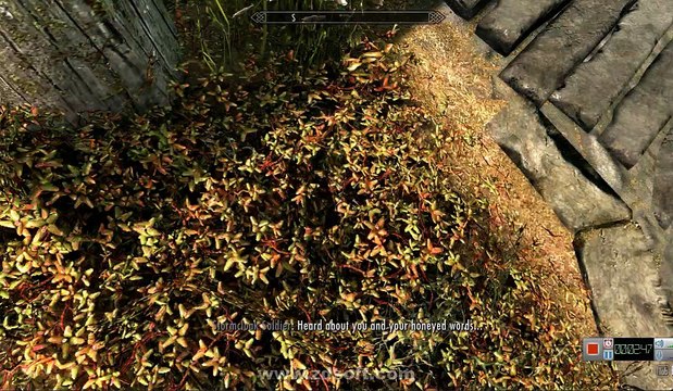 Skyrim Duplicate Itens(duplicando itens)