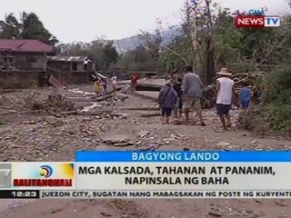 BT: Mga kalsada, tahanan at pananim, napinsala ng baha