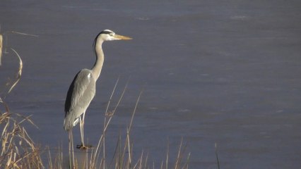 Direction les plans d'eau gelés