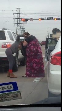 Женская Драка На Дороге / Толстуха против Афроамериканки