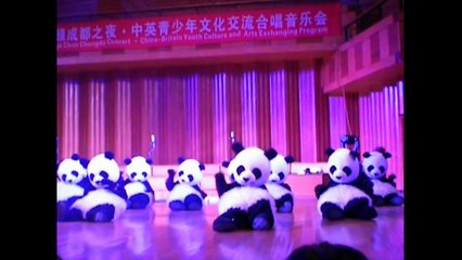 Танцующие панды.Funny Panda.