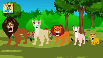 Finger Family Lion Finger Family | Finger Family Songs | Finger Family Parody