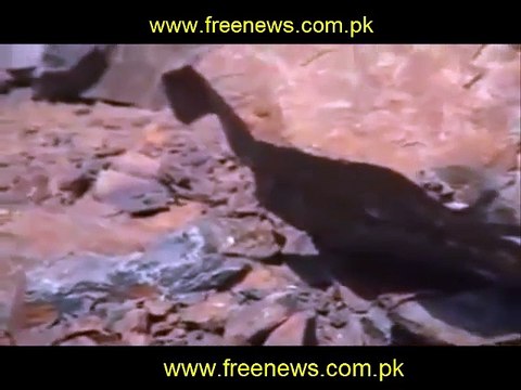 Hazrat Amina Bibi (R.A) ki Qabar-e-Mubarik. (Mukam-e-Abwa)