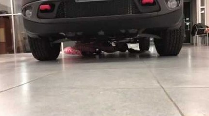 Une jeune femme sûrement la plus grande championne de Limbo !