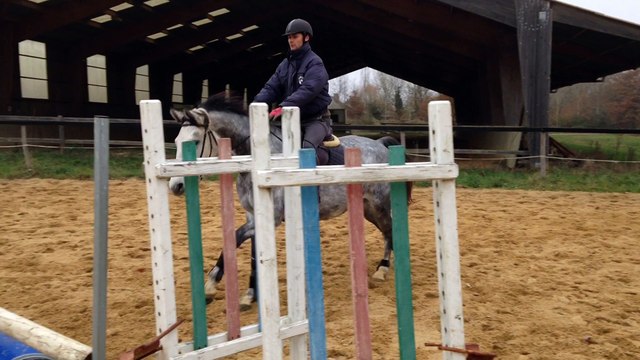 Corlanda, jument SF de 5 ans par Corland