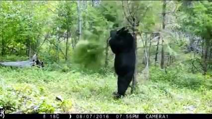 ► САМЫЕ УБОЙНЫЕ ПРИКОЛЫ И ПАДЕНИЯ 2016 № 236 ! РЖАКА !