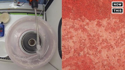 Cotton Candy Could Help Grow Body Tissue