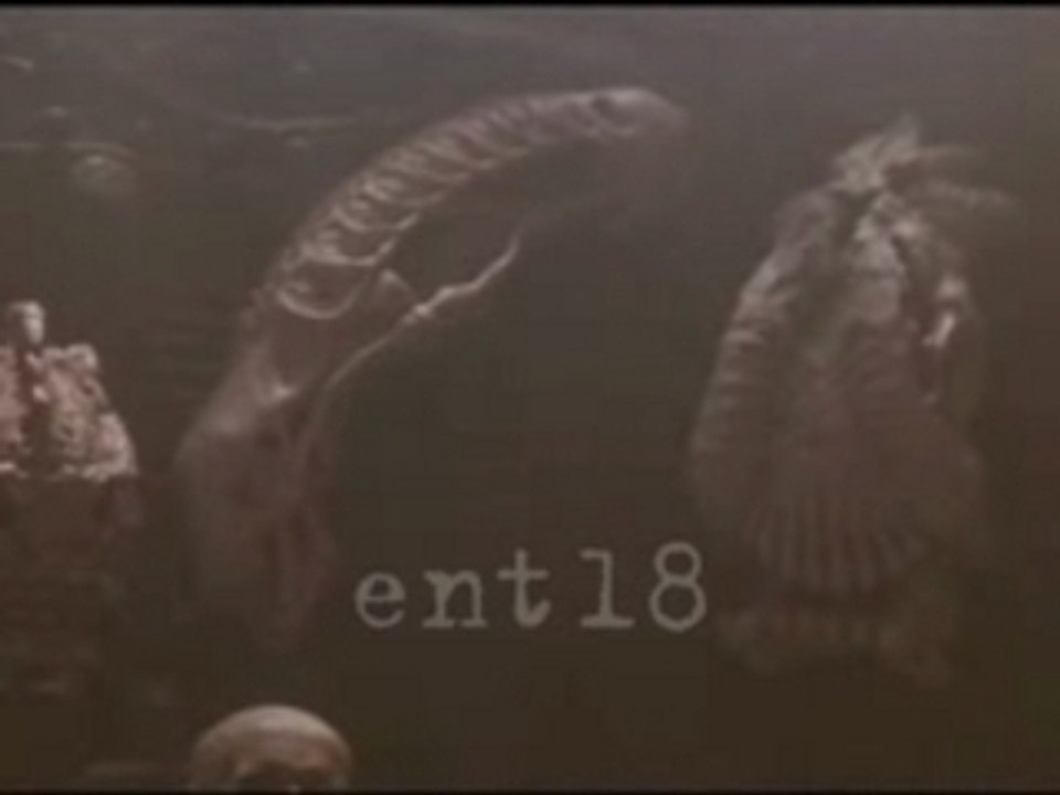Predator Wins Alien