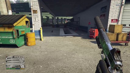 Count my bullets, a cat has 9 lives :D