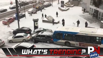 What's Trending This Week