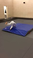 Cours du 31 janvier 2017 ou l'art de la chute !