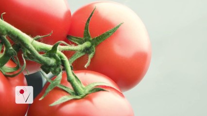 This is Why Tomatoes are Losing Their Flavor