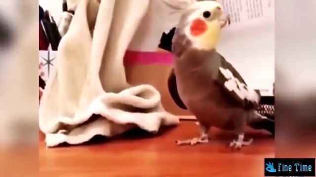 ЛУЧШИЕ РУССКИЕ ПРИКОЛЫ! Эту страну не победить ! 24 Января 2017 часть 4