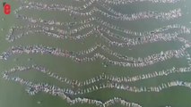 Argentine: 2000 personnes flottent ensemble et battent un record