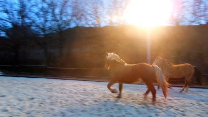 Travail en liberté Viking et Ully