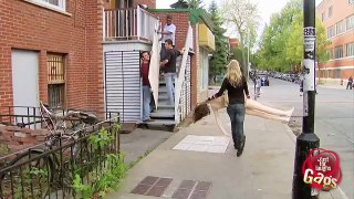Screaming Severed Head Prank Just For Laughs Gags