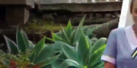 Neighbours 7527 31st January 2017 (01 31 2017)