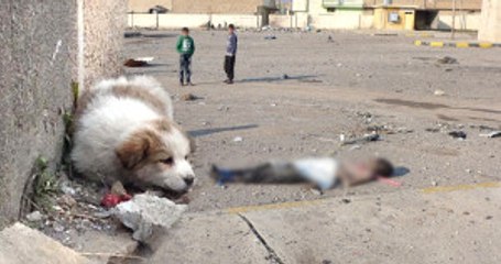 Öldürülen DEAŞ'lı Teröristlerin Cesetlerini Hayvanlar Parçalıyor