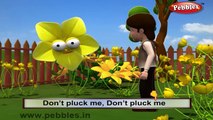 Buttercup Rhyme | 3D Nursery Rhymes With Lyrics For Kids | Flower Rhymes | 3D Rhymes Animation