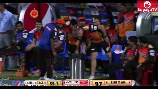 [BugagaTV] Кошачий Массаж | Приколы и Фейлы 2016 Ноябрь # 8