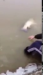 Приколы для взрослых 18   2017        Рыбаки упустили гиганта