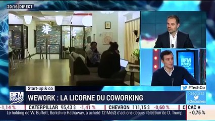 Start-up & Co: WeWork, la licorne du coworking - 31/01